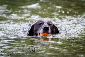 Indy swimmong with the ball-0949