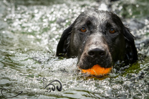 Storm in the Water-0930