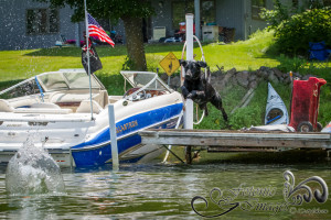 Storm jumping off the dock-1232
