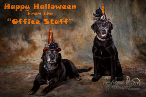 happy halloween office staff