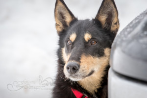 John Beargrease-4135