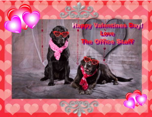 valentines office staff
