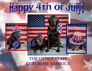 Happy 4th of July! from the Office Staff